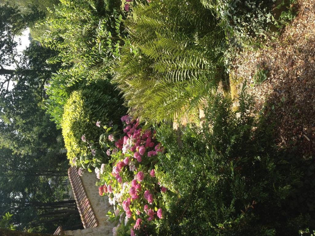 Les Hortensias Clermont  Exterior foto